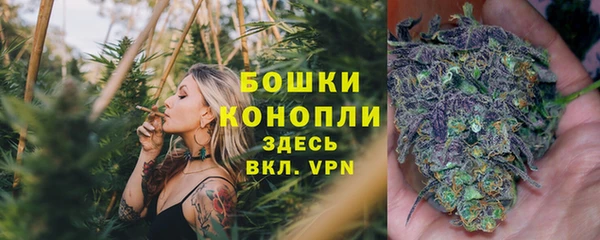 бошки Алзамай