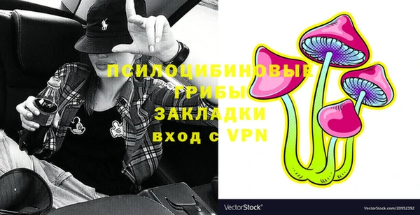 стаф Абаза