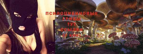 стаф Абаза