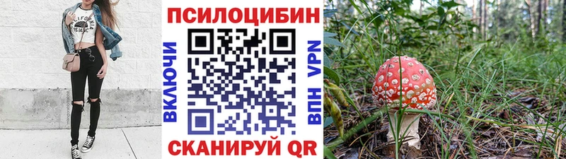 Галлюциногенные грибы Psilocybe  это наркотические препараты  Зарайск 